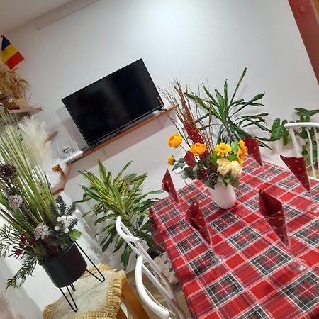 Apartment Boulevard Cetate Alba Iulia Ngoại thất bức ảnh