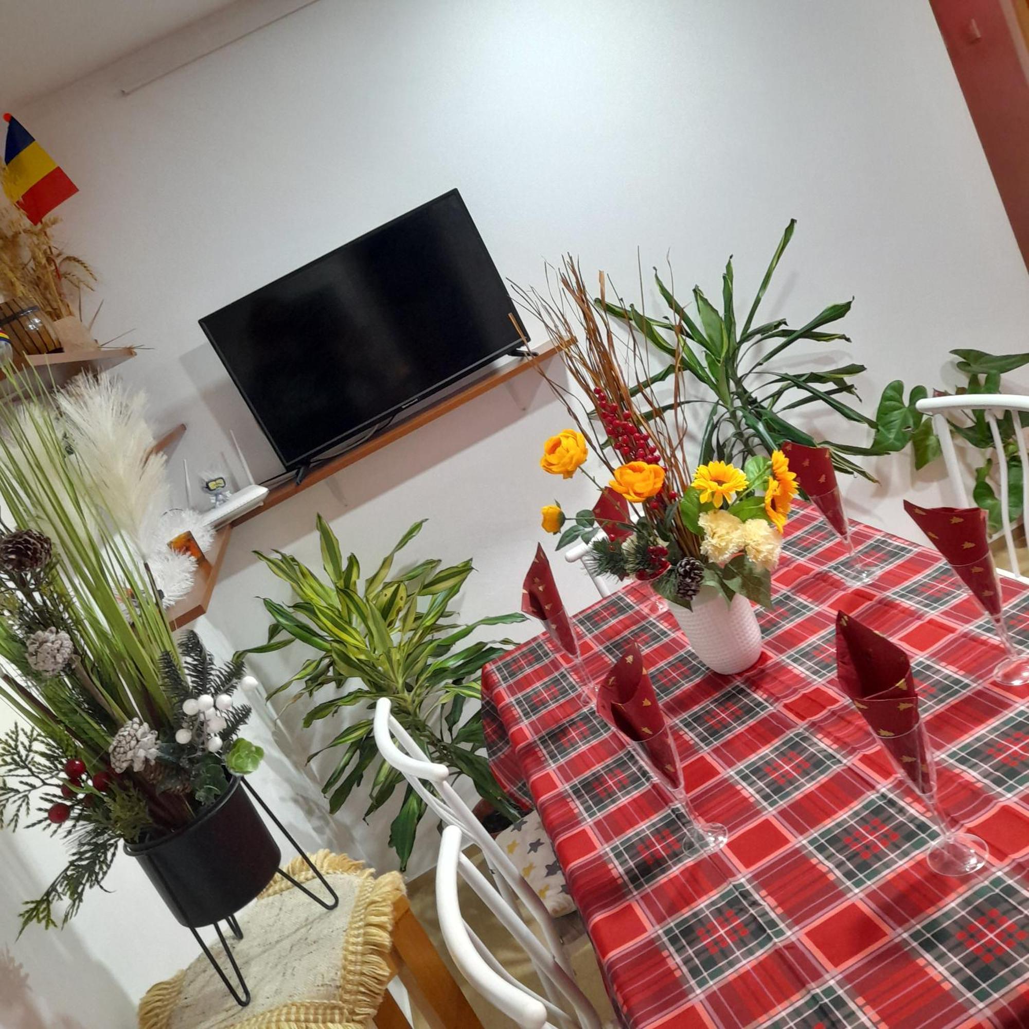 Apartment Boulevard Cetate Alba Iulia Ngoại thất bức ảnh